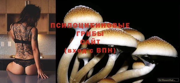 герыч Верхний Тагил