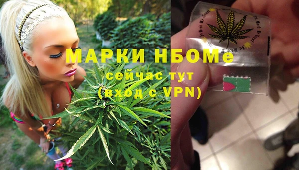хмурый Сосновый Бор