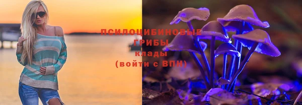 ПСИЛОЦИБИНОВЫЕ ГРИБЫ Верхнеуральск
