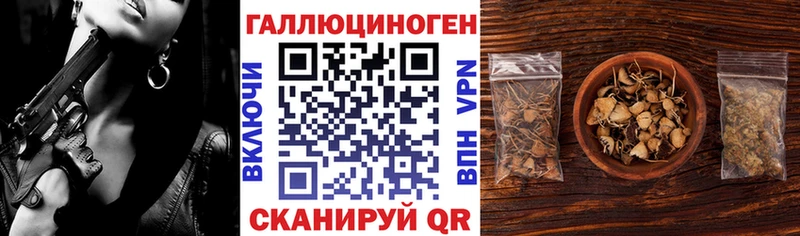 даркнет сайт  Мончегорск  Псилоцибиновые грибы GOLDEN TEACHER 